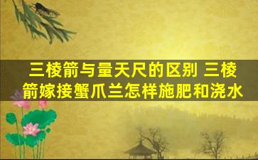 三棱箭与量天尺的区别 三棱箭嫁接蟹爪兰怎样施肥和浇水